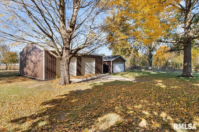 424 DOCIA Street, Hillsdale, IL 61257