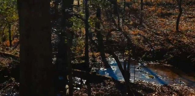 159 Prospect Trail, Cleveland, GA 30528