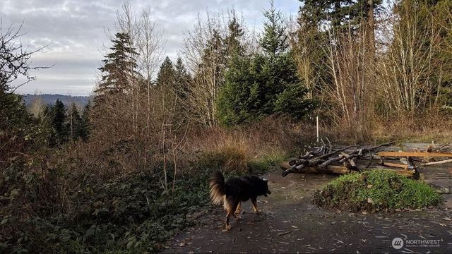 1431 N 14th Avenue, Kelso, WA 98626