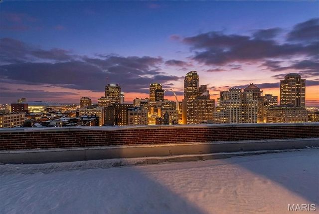 1501 Locust Street 1102, St Louis, MO 63103