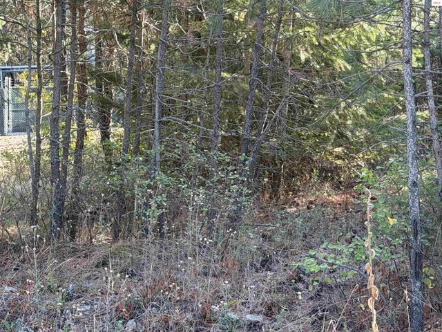 NNA Gray Eagle Rd., Rathdrum, ID 83858 property photo