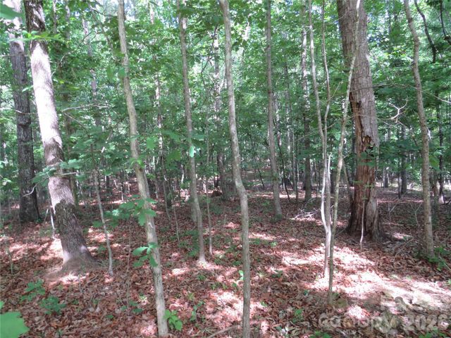 0 S Woodleaf Road, Forest City, NC 28043