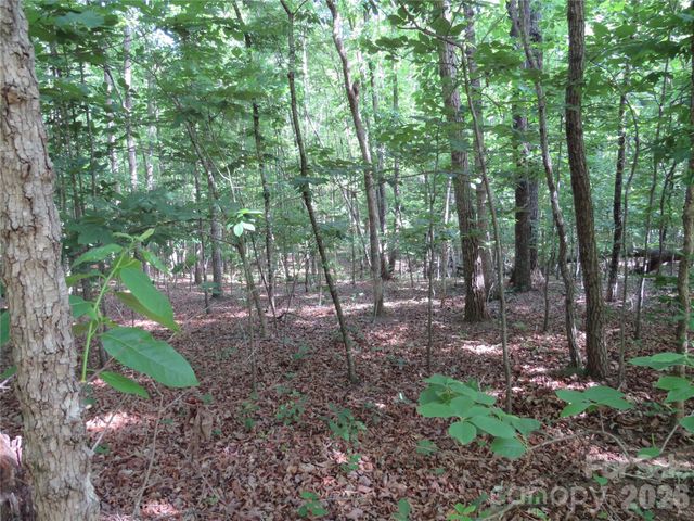 0 S Woodleaf Road, Forest City, NC 28043