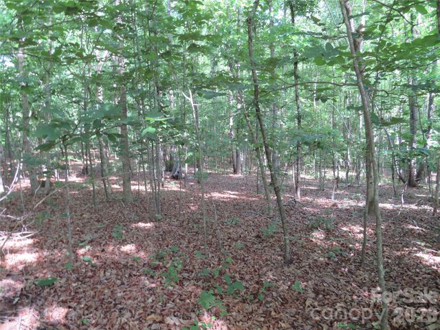 0 S Woodleaf Road, Forest City, NC 28043