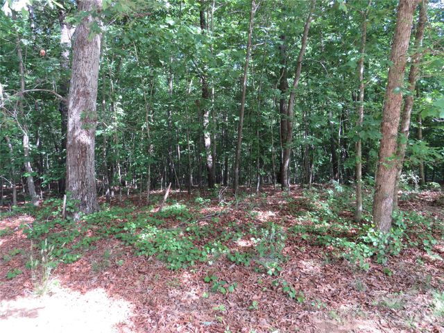 0 S Woodleaf Road, Forest City, NC 28043