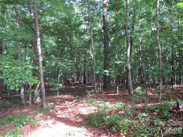0 S Woodleaf Road, Forest City, NC 28043