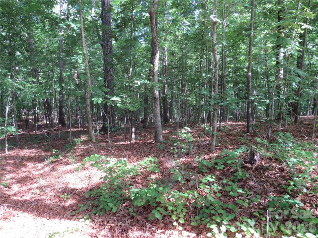 0 S Woodleaf Road, Forest City, NC 28043