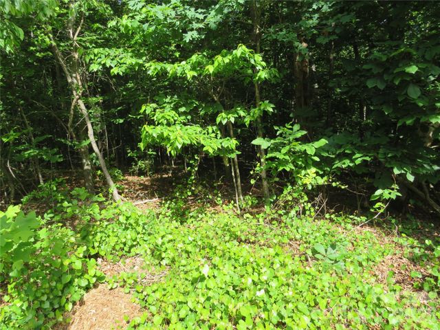 0 S Woodleaf Road, Forest City, NC 28043