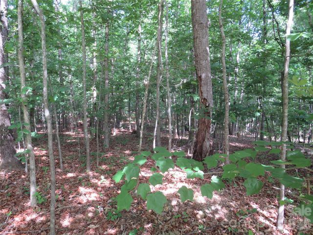 0 S Woodleaf Road, Forest City, NC 28043