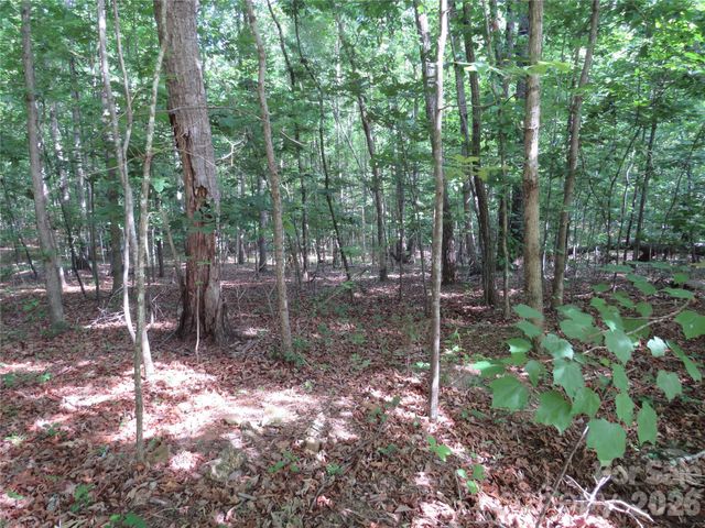 0 S Woodleaf Road, Forest City, NC 28043