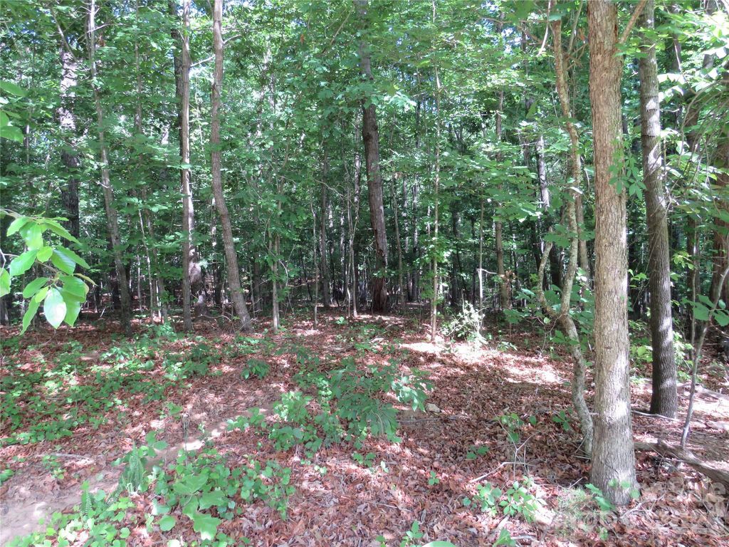 0 S Woodleaf Road, Forest City, NC 28043