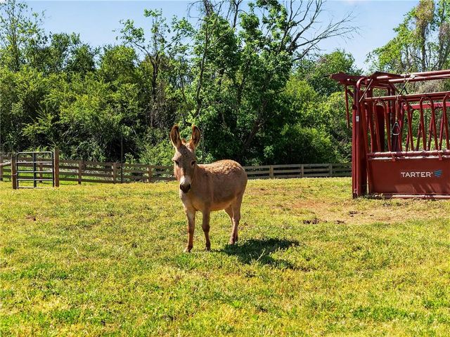 6920 Holly Springs Road, Clermont, GA 30527