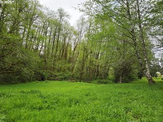 82467 CROWDER Rd, Seaside, OR 97138