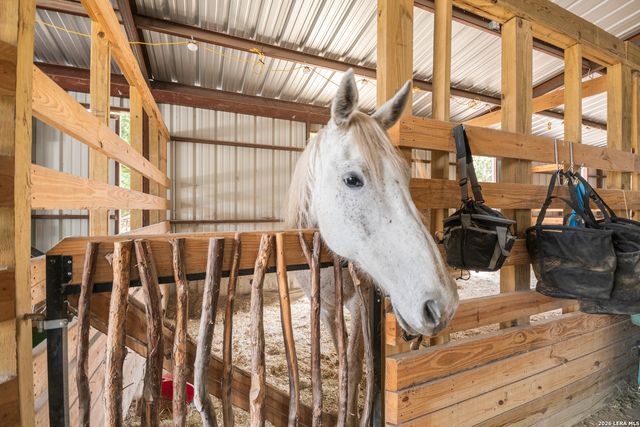 585 English Hollow, Bandera, TX 78003