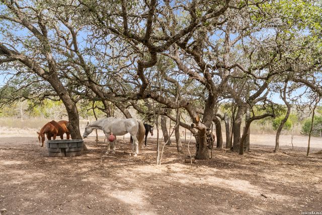 585 English Hollow, Bandera, TX 78003