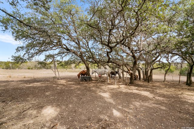 585 English Hollow, Bandera, TX 78003
