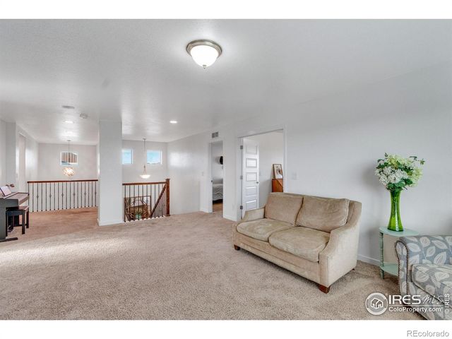 1493 Moraine Valley Drive, Severance, CO 80550