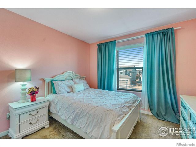 1493 Moraine Valley Drive, Severance, CO 80550