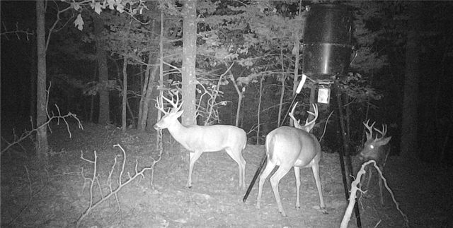 278 Madison 6186, Wesley, AR 72773