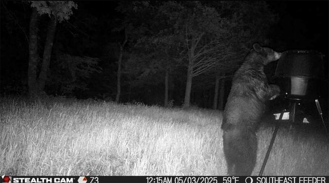 278 Madison 6186, Wesley, AR 72773