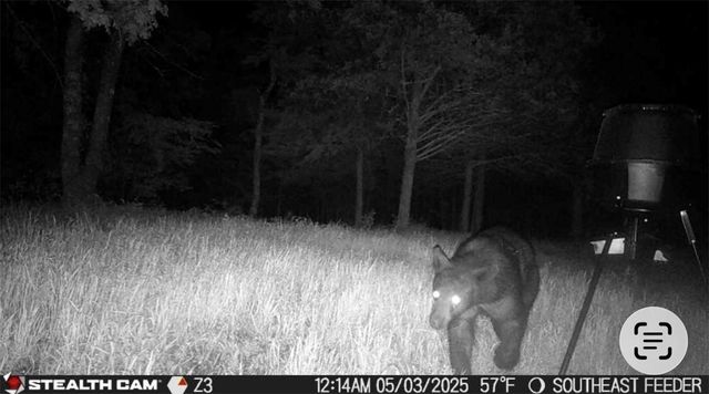 278 Madison 6186, Wesley, AR 72773