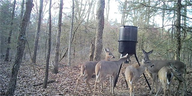 278 Madison 6186, Wesley, AR 72773