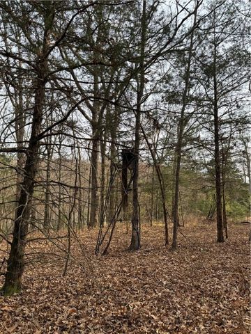 278 Madison 6186, Wesley, AR 72773