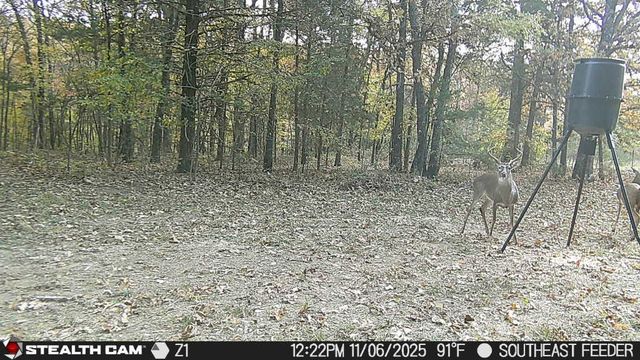 278 Madison 6186, Wesley, AR 72773