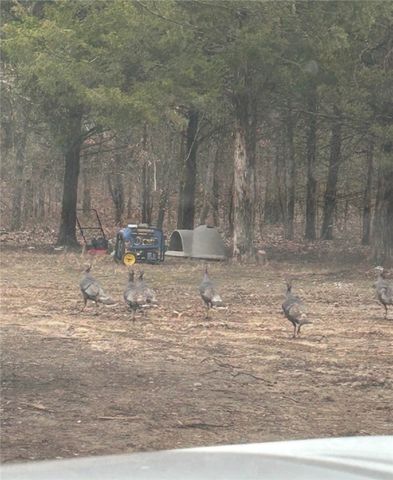 278 Madison 6186, Wesley, AR 72773