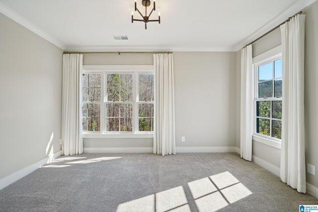 132 ELYTON DRIVE, Birmingham, AL 35242