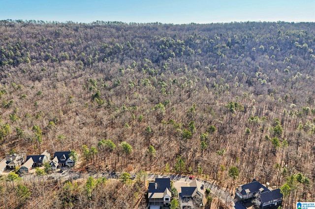 132 ELYTON DRIVE, Birmingham, AL 35242