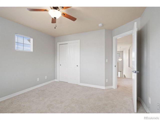 3338 Wray Court, Loveland, CO 80538