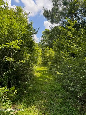Tbd Lot 3 Frozard Road 3, Arnaudville, LA 70512