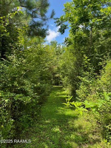 Tbd Lot 3 Frozard Road 3, Arnaudville, LA 70512