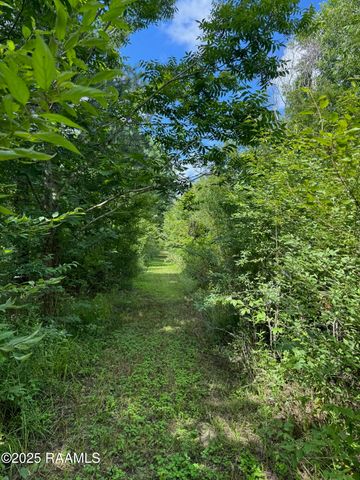 Tbd Lot 3 Frozard Road 3, Arnaudville, LA 70512