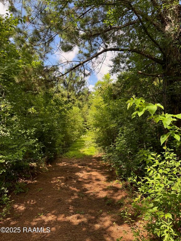 Tbd Lot 3 Frozard Road 3, Arnaudville, LA 70512
