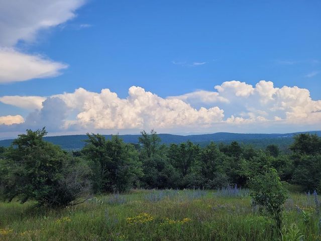 631 N Cream Hill Road, Shoreham, VT 05770