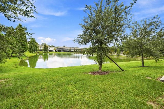 3144 PLEASANT WILLOW COURT, Brandon, FL 33511