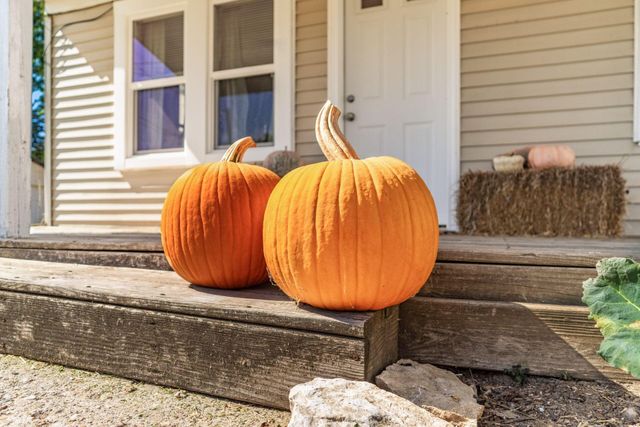 575 Renick Avenue, Circleville, OH 43113