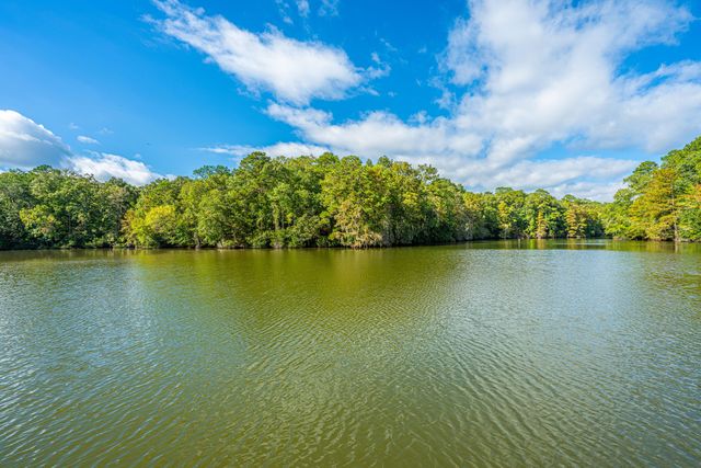 1075 Chapel Branch Road, Santee, SC 29142