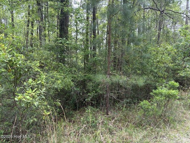 L 113 Chimney Swift Lane SE, Southport, NC 28461