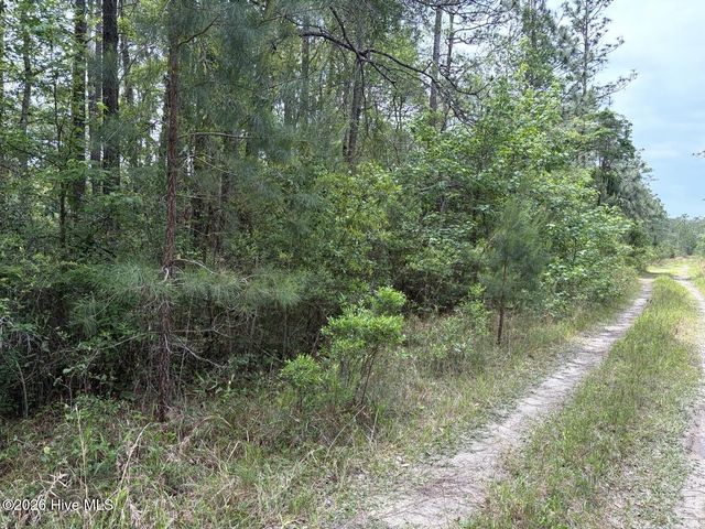 L 113 Chimney Swift Lane SE, Southport, NC 28461