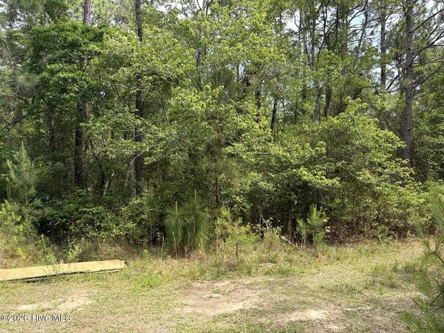 L 113 Chimney Swift Lane SE, Southport, NC 28461