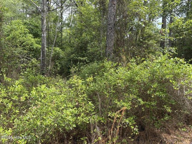 L 113 Chimney Swift Lane SE, Southport, NC 28461