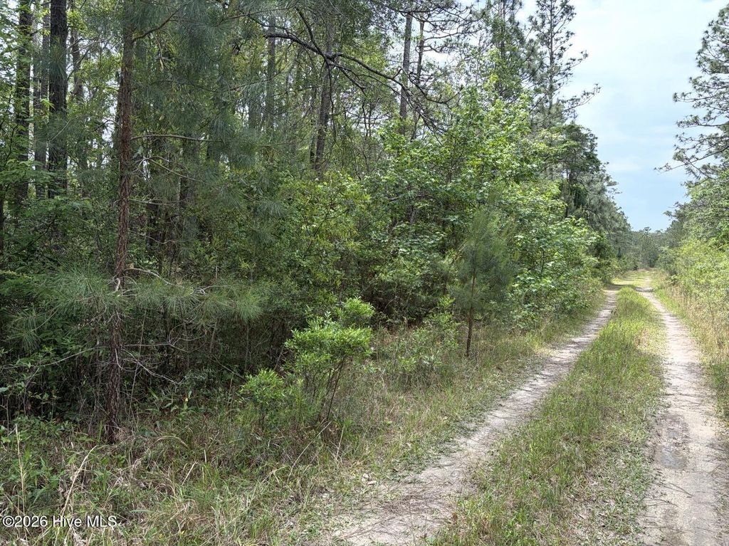 L 113 Chimney Swift Lane SE, Southport, NC 28461