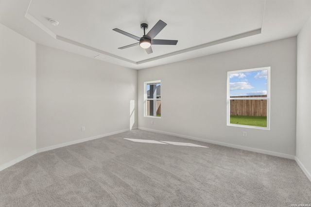 17133 Elder Walnut Drive, Elmendorf, TX 78112