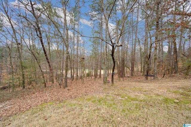 1328 INVERNESS COVE DRIVE, Hoover, AL 35242