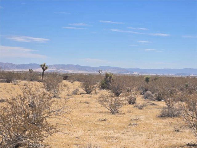 1577 Mcgarry, Joshua Tree, CA 92252