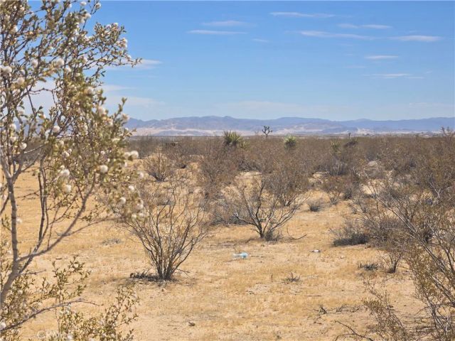 1577 Mcgarry, Joshua Tree, CA 92252