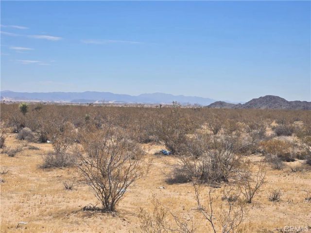 1577 Mcgarry, Joshua Tree, CA 92252